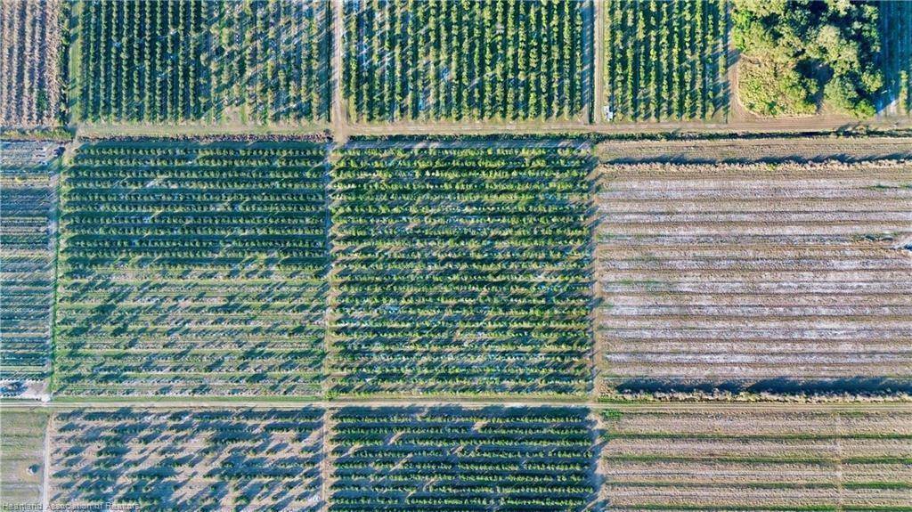 Lorida, FL 33857,1050 Arbuckle Creek Rd