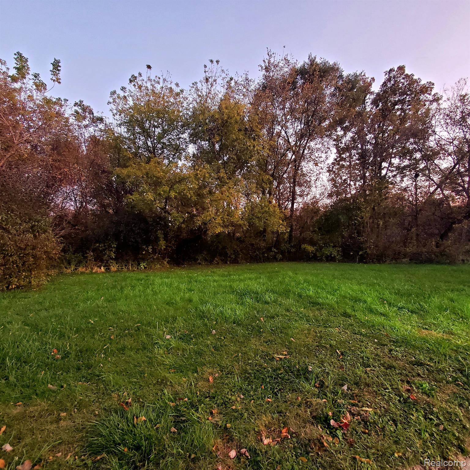 Davison, MI 48423,10294 CARRIAGE WAY