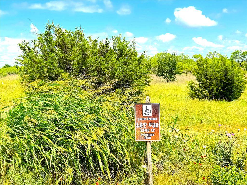 Perrin, TX 76486,1020 Goodnight Trail