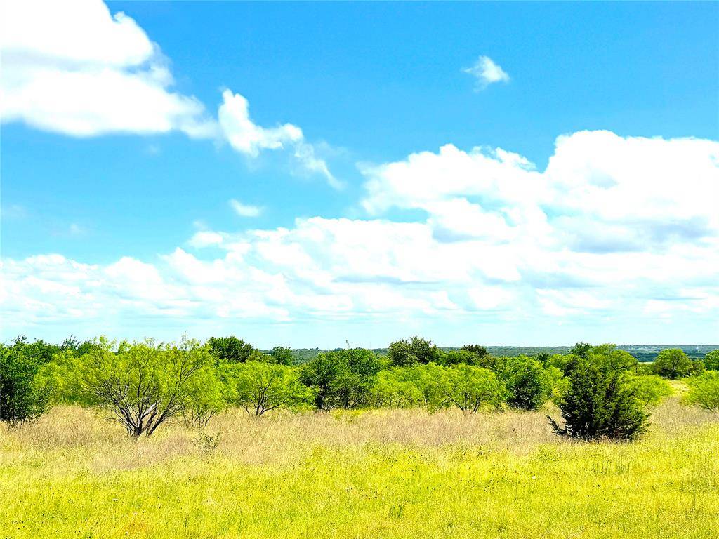 Perrin, TX 76486,1020 Goodnight Trail