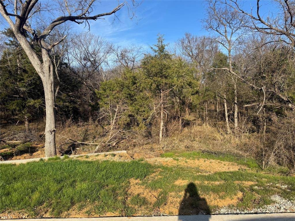 Gordonville, TX 76245,Lot 96 Castlewood Street