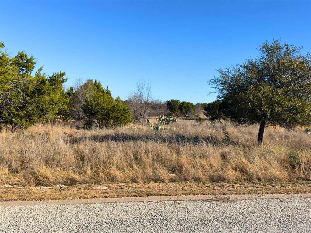 Graford, TX 76449,Lot 108 Eastern Hills Drive