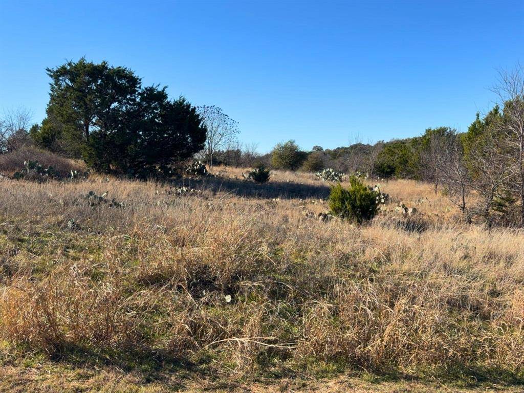 Graford, TX 76449,Lot 115 Balleycastle Drive