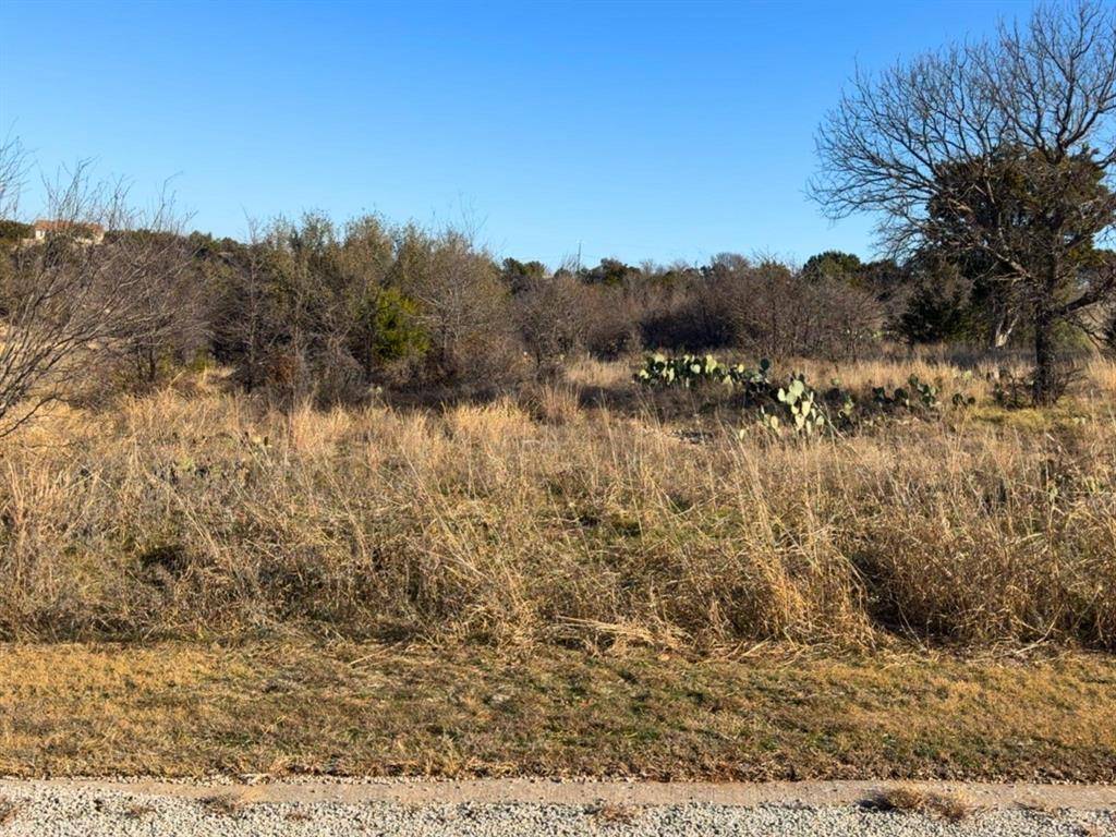 Graford, TX 76449,Lot 160 Balleycastle Drive
