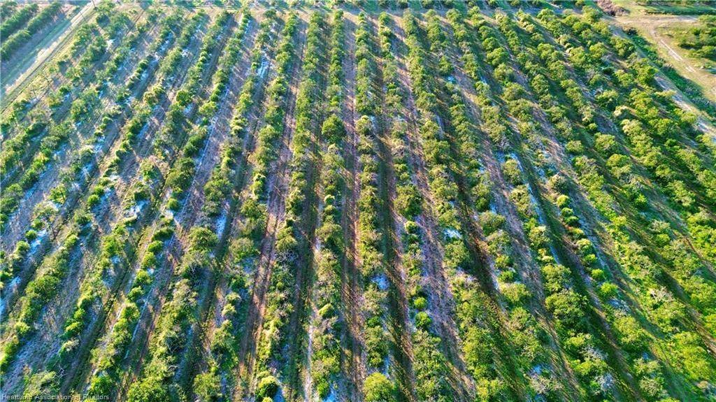 Lorida, FL 33857,2233 Hicks Rd