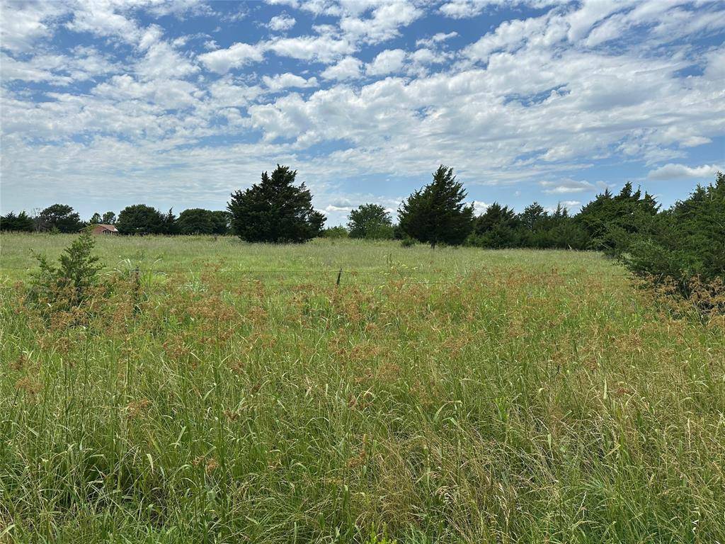 Farmersville, TX 75442,Lot 8 Lemonade Ln.