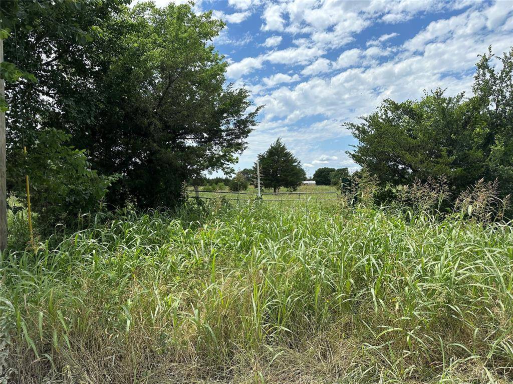 Farmersville, TX 75442,Lot 8 Lemonade Ln.