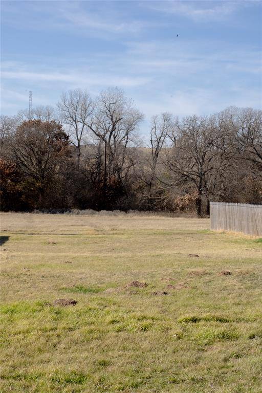 Springtown, TX 76082,145 Firefly Drive