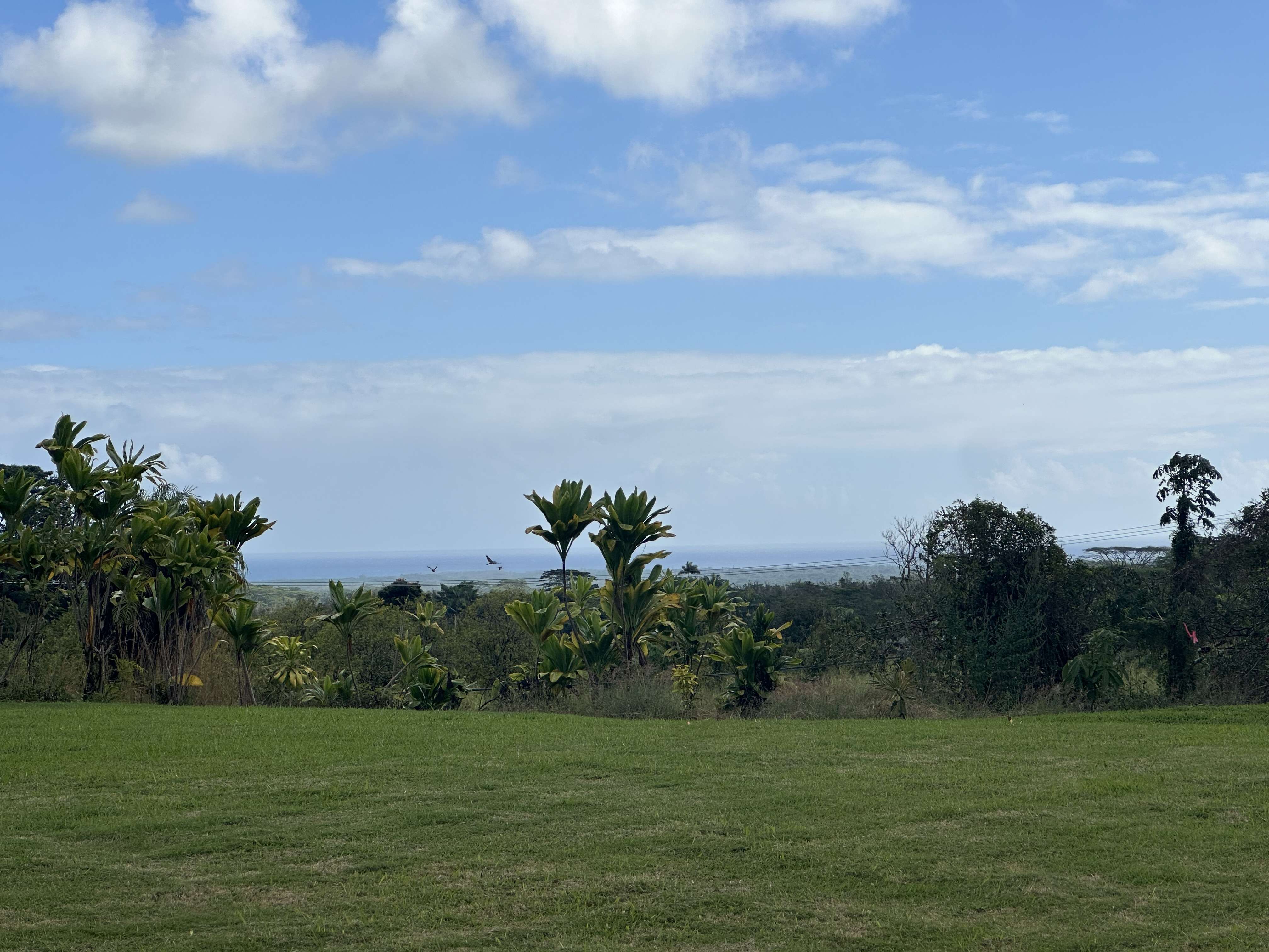 Kurtistown, HI 96760,17-303 PILIKINO RD