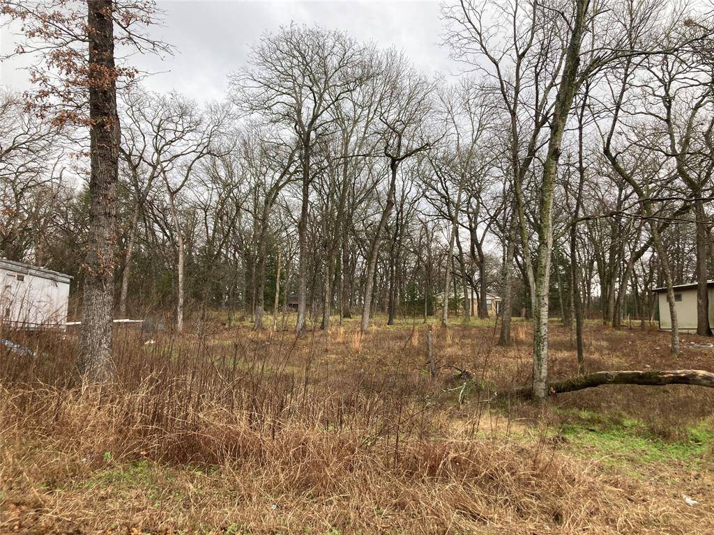 Kemp, TX 75143,TBD Flud Road