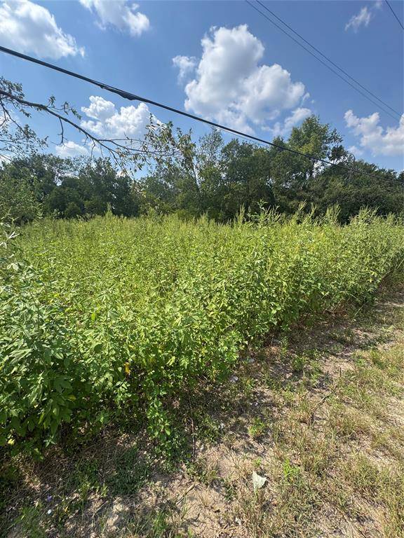 Mart, TX 76664,301 N Waco St