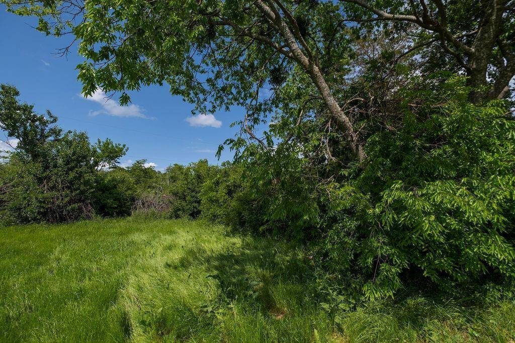 Terrell, TX 75160,108 Williams Street