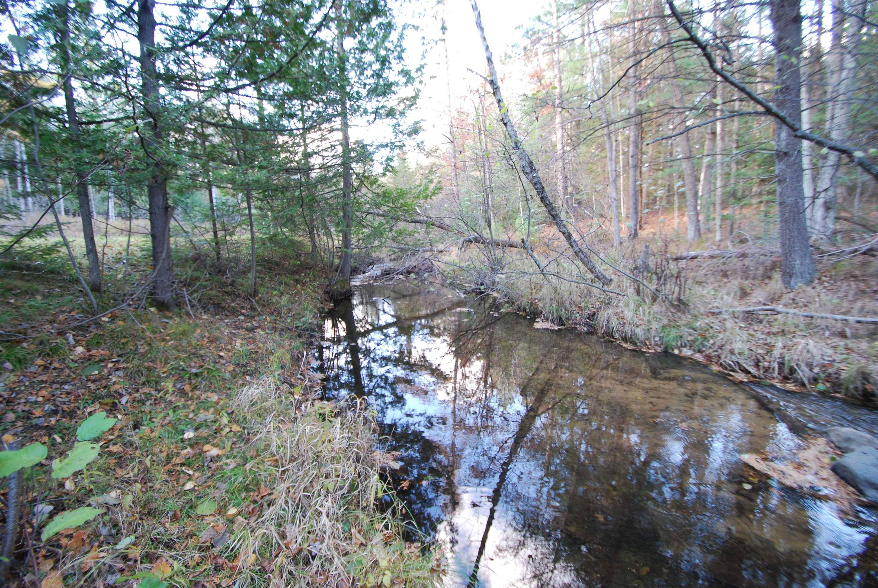 Alger, MI 48610,781 Lula LN