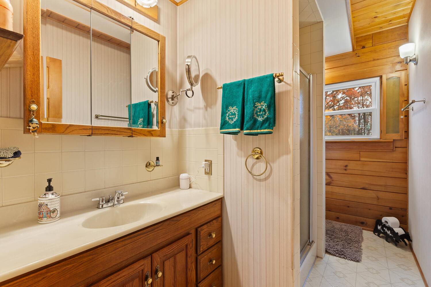 Cement City, MI 49233,14601 Brookhurst DR