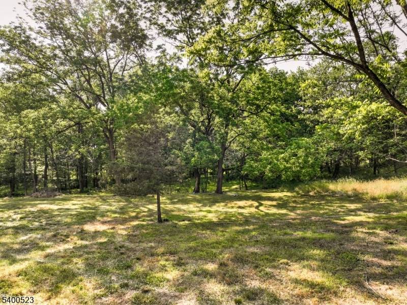 Readington Twp., NJ 08889,83 Readington Rd