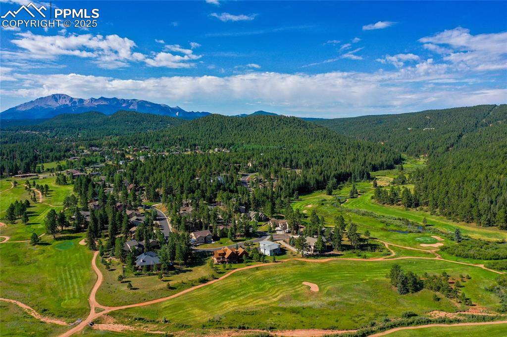 Woodland Park, CO 80863,1484 Masters DR