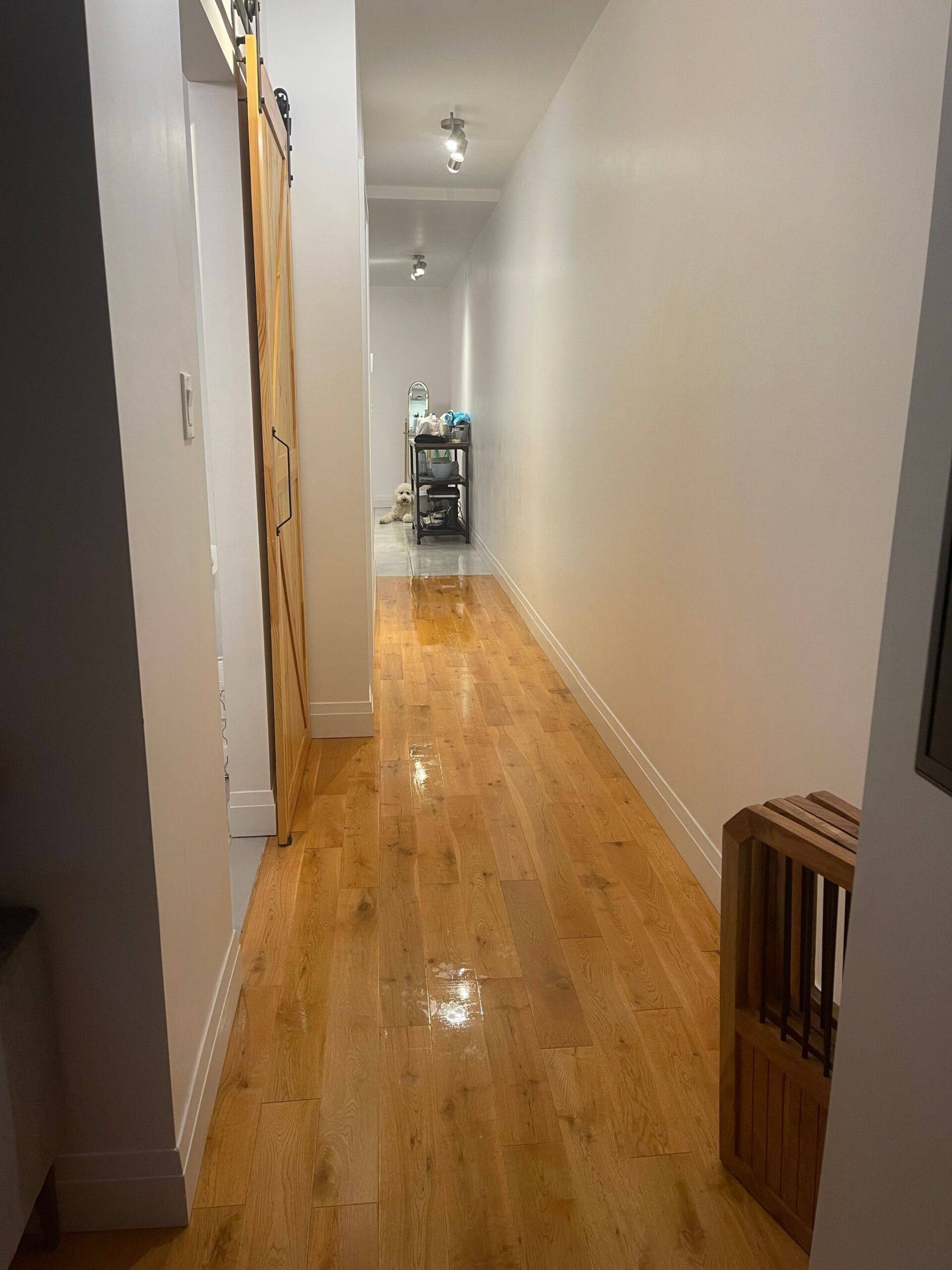 Toronto C01, ON M6G 2T8,689 Euclid AVE #1