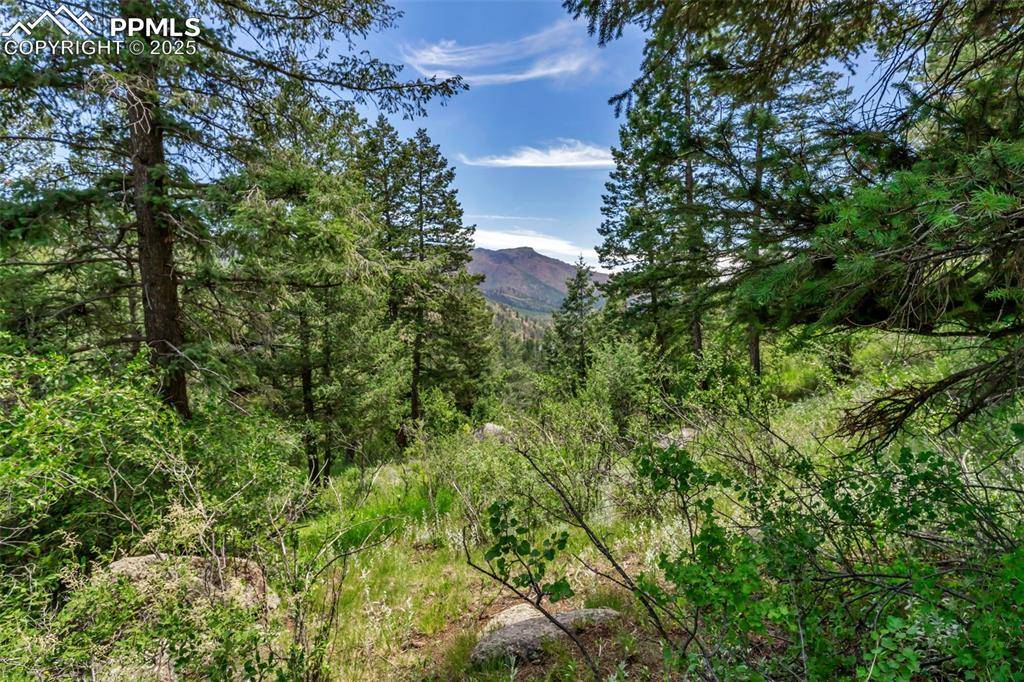 Green Mountain Falls, CO 80809,MOUNTAIN AVE