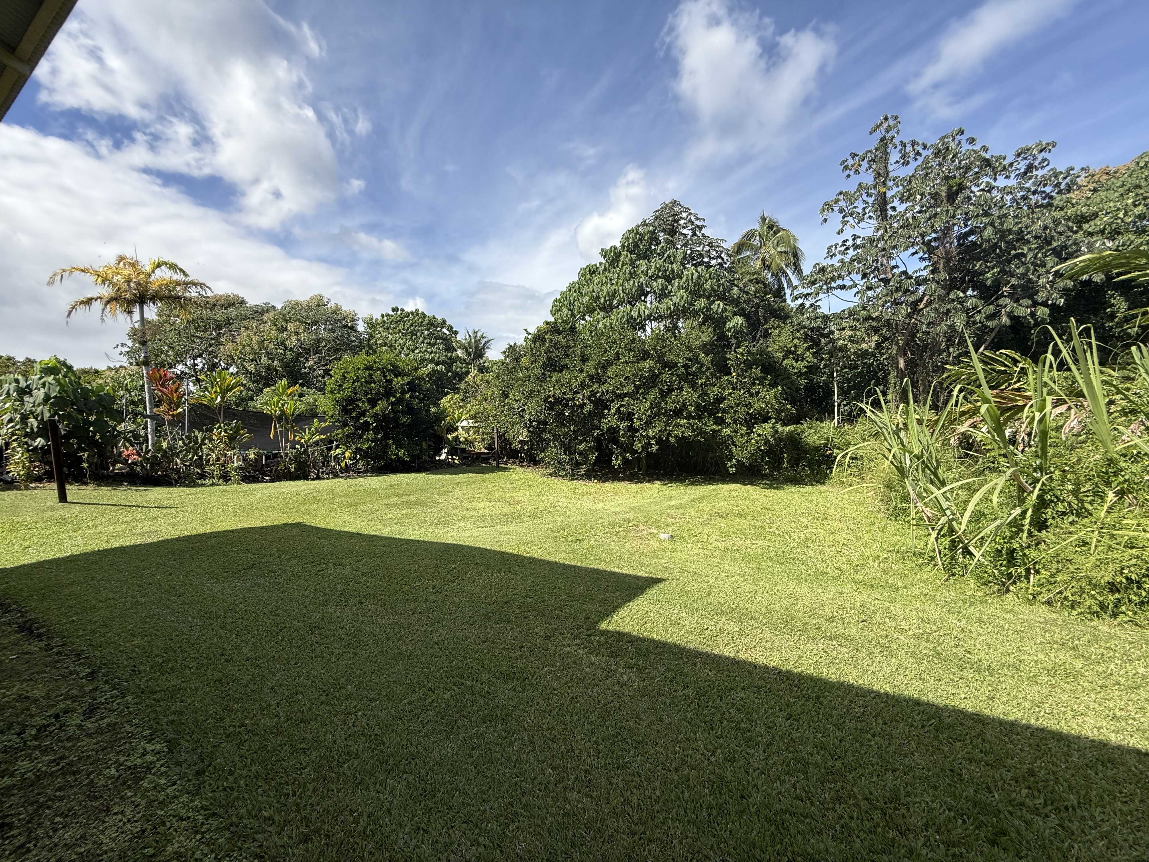 Keaau, HI 96760,16-740 MILO ST