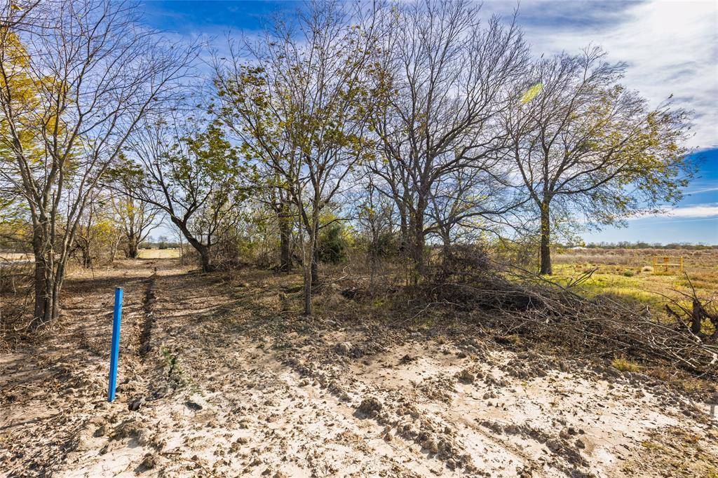 Commerce, TX 75428,Lot 10 County Road 4609