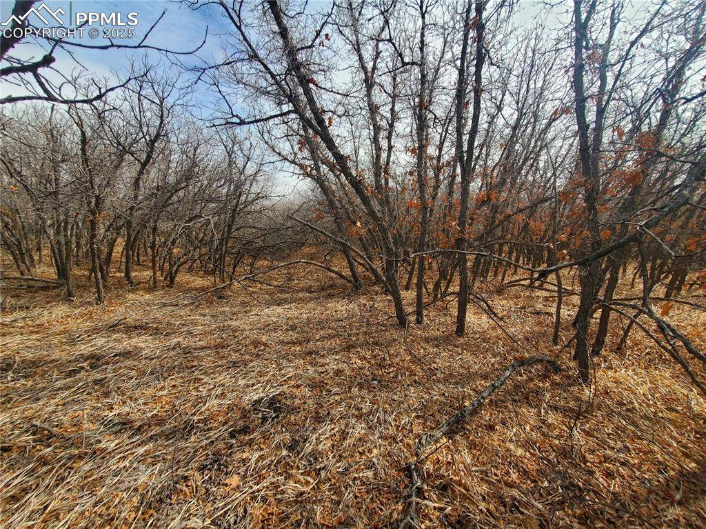 Colorado City, CO 81069,Thacker RD