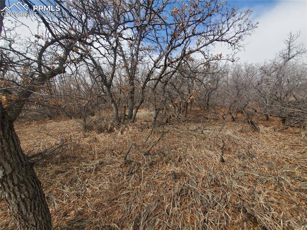 Colorado City, CO 81069,Thacker RD