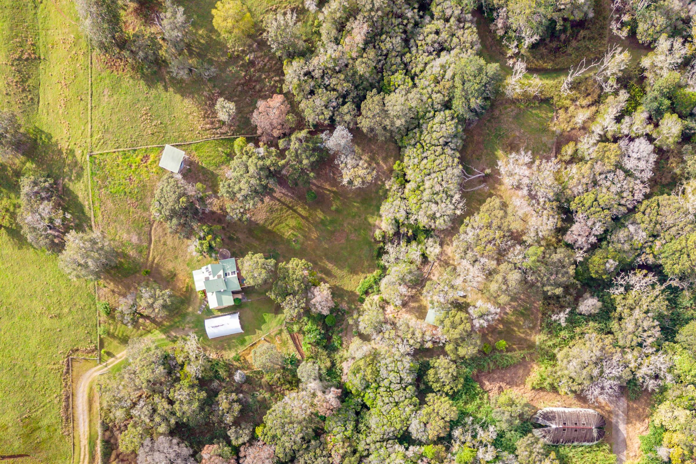 Paauilo, HI 96776,43-752 ANTONE DE LUZ RD