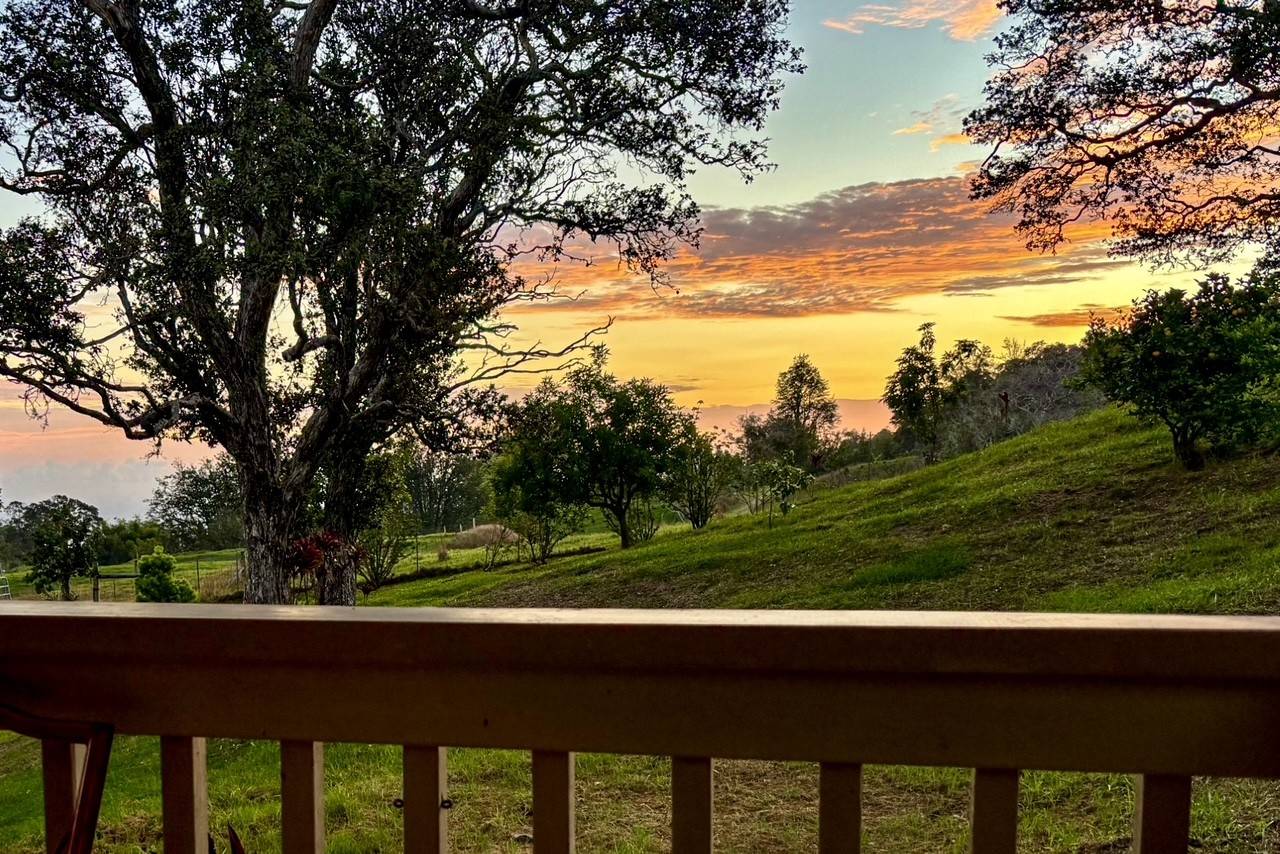 Paauilo, HI 96776,43-752 ANTONE DE LUZ RD