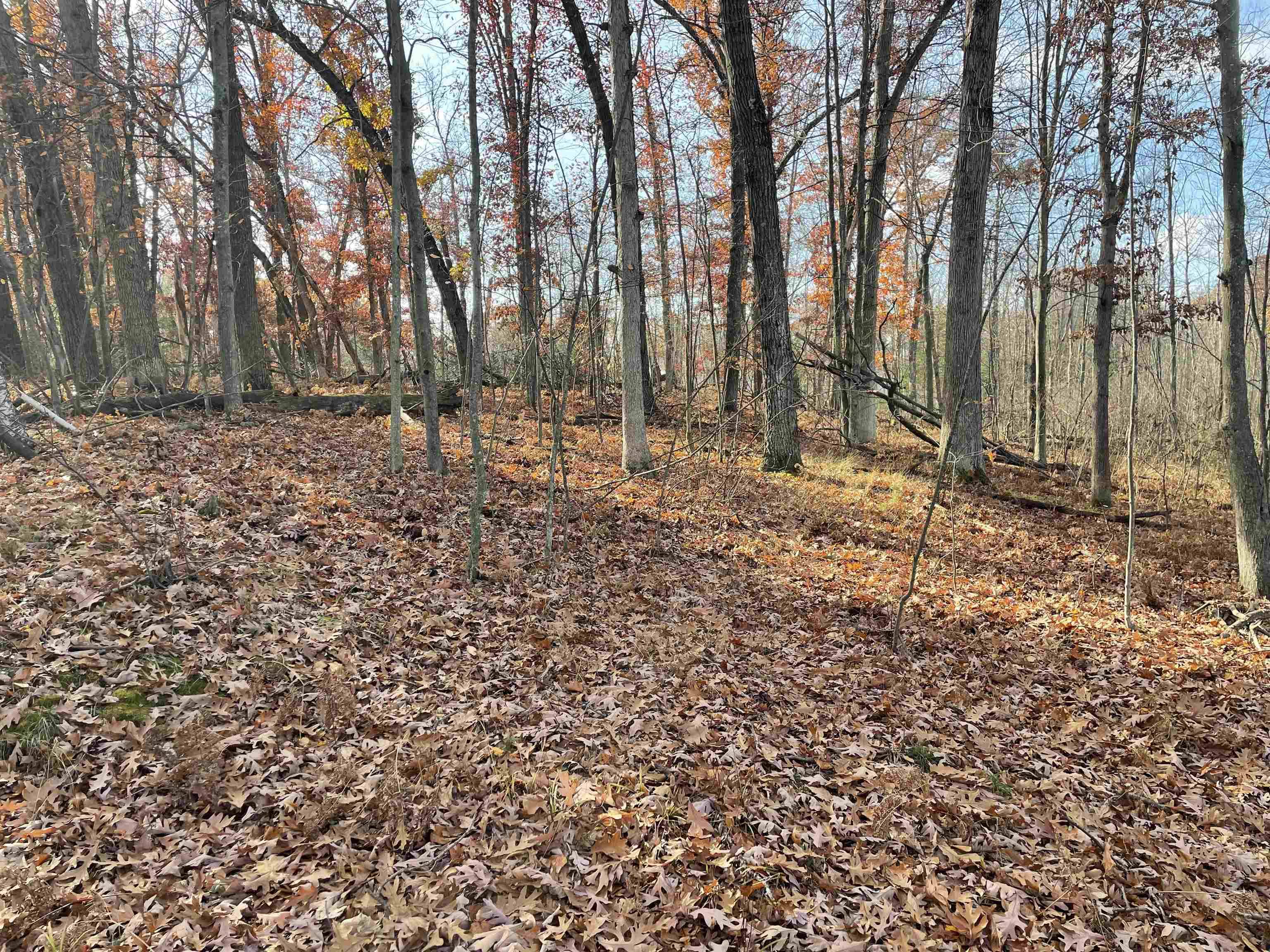 Prescott, MI 48756,0 First ST