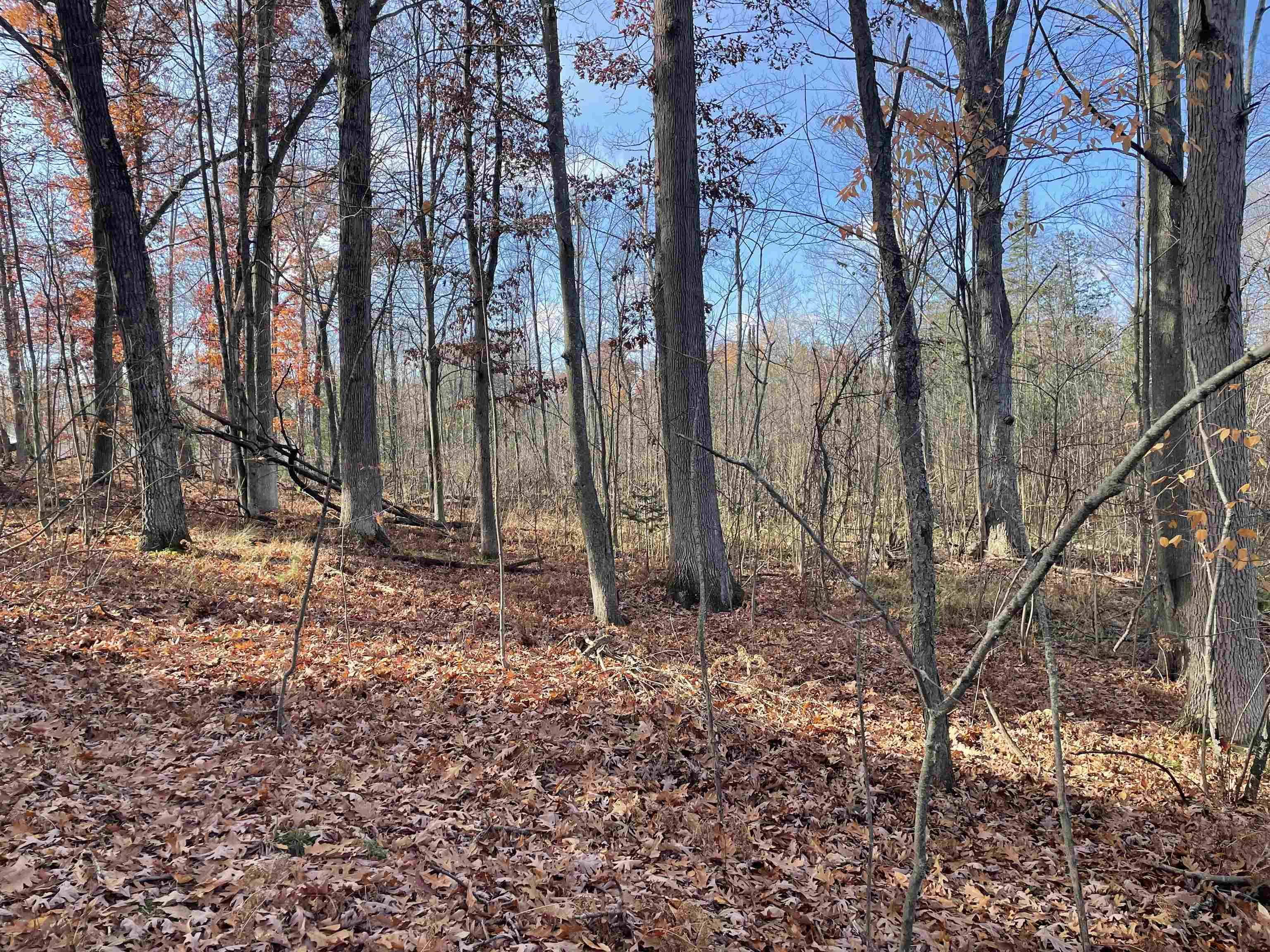 Prescott, MI 48756,0 First ST