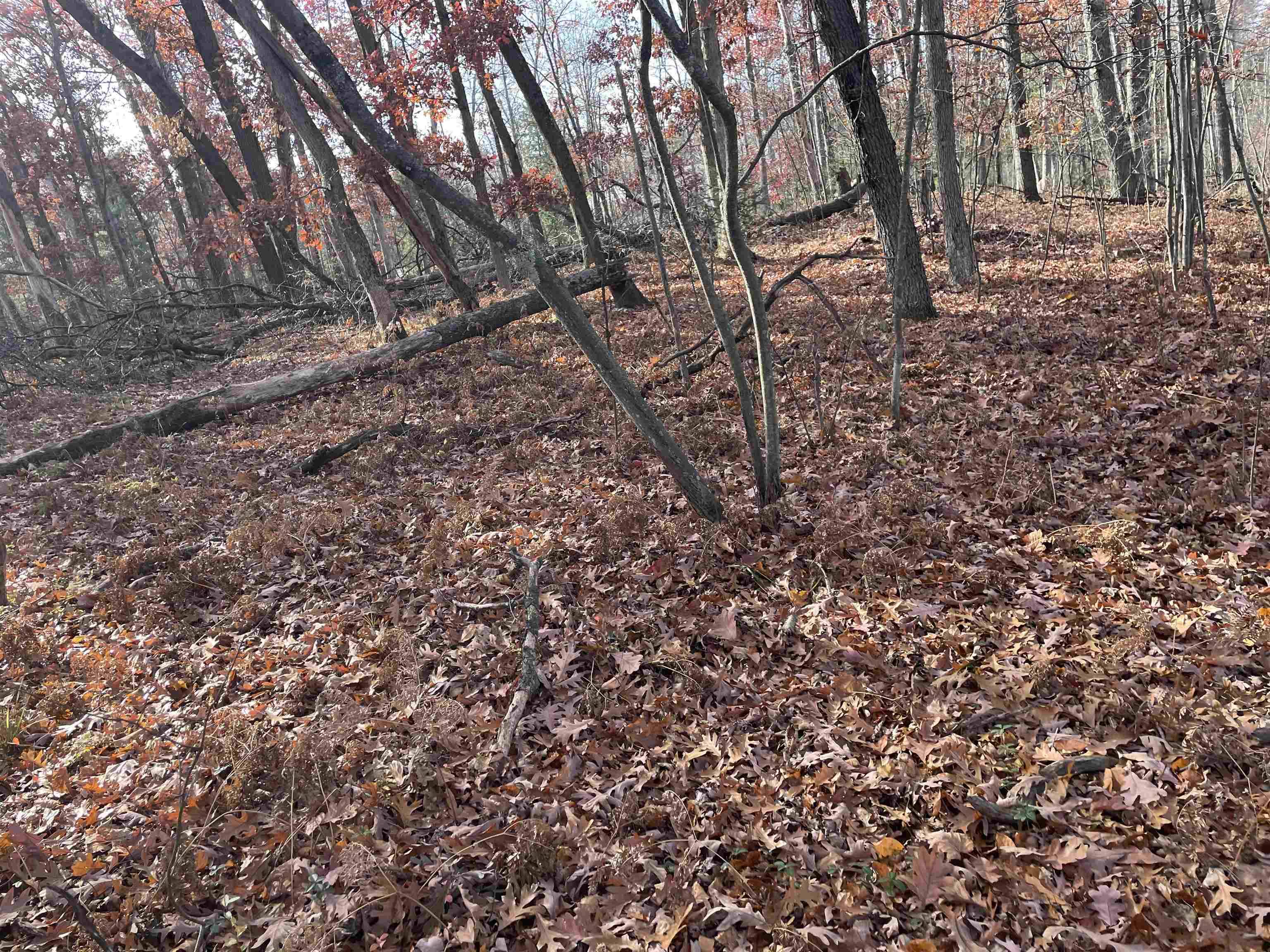 Prescott, MI 48756,0 First ST