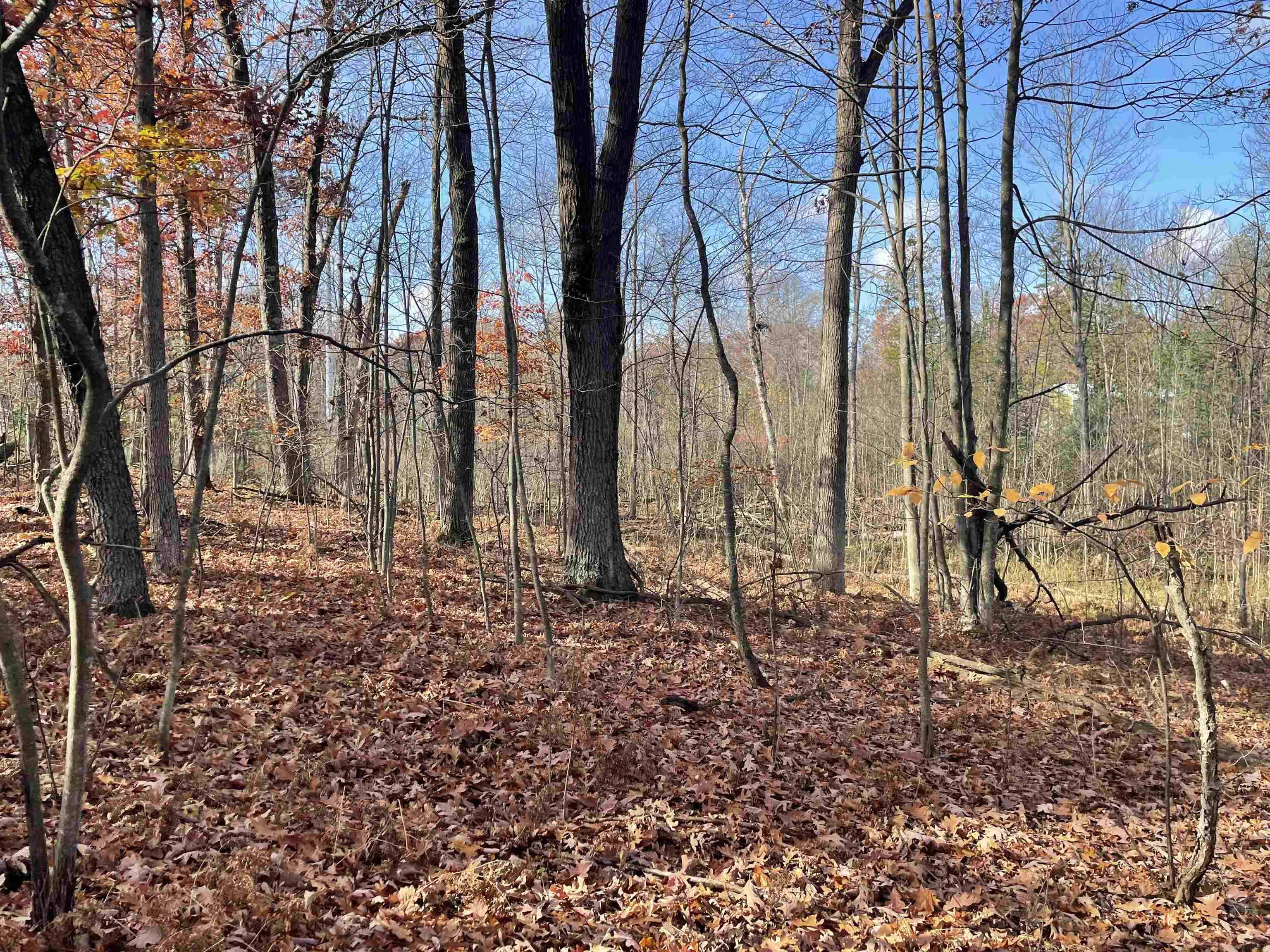 Prescott, MI 48756,0 First ST