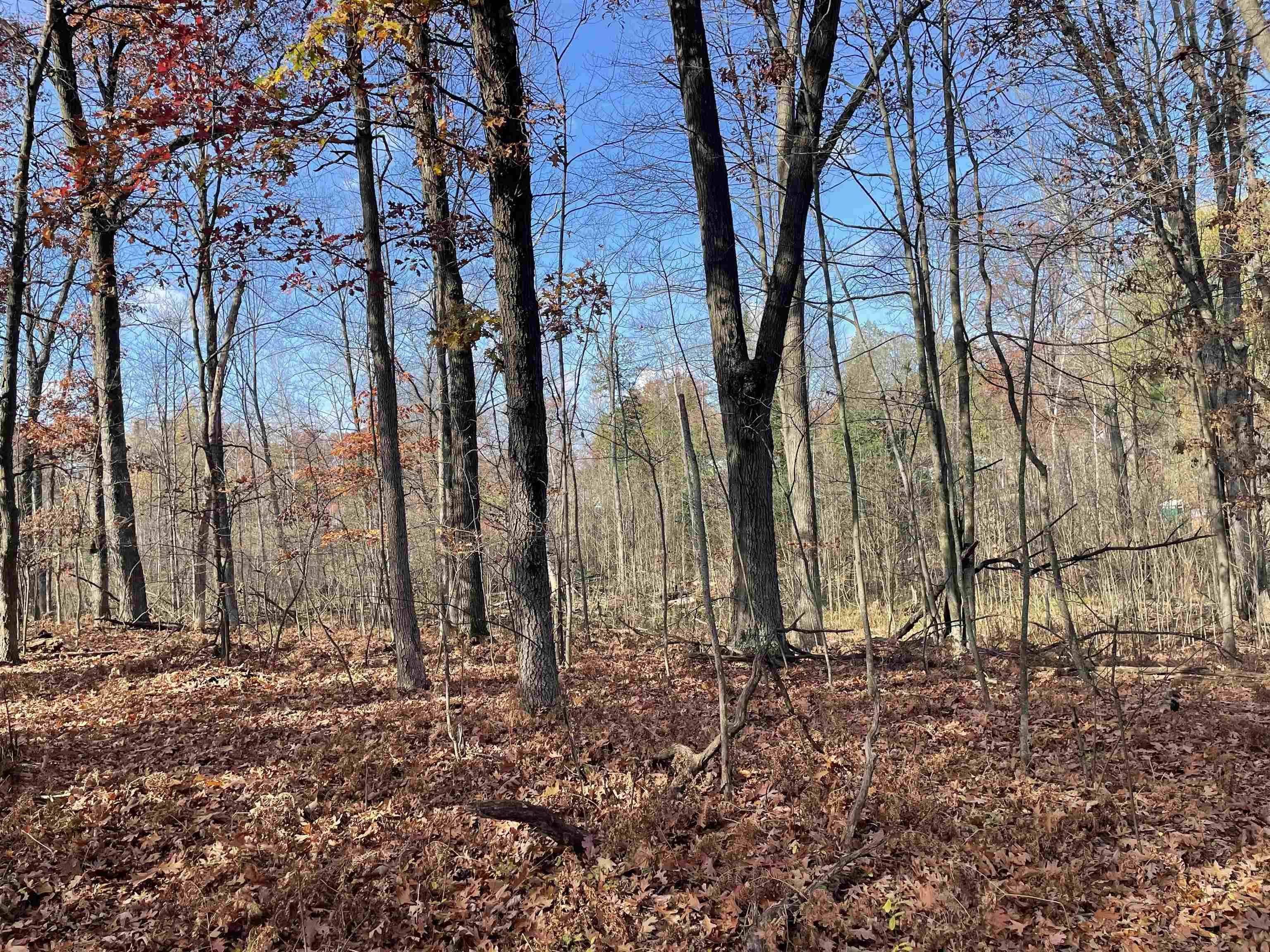 Prescott, MI 48756,0 First ST