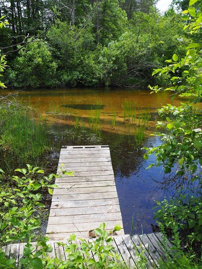 Thompsonville, MI 49683,lot 4 Meadow LN