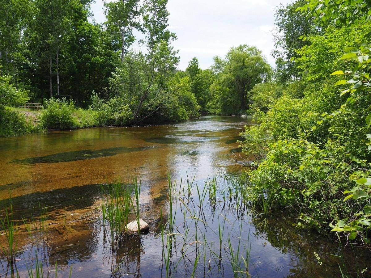 Thompsonville, MI 49683,lot 4 Meadow LN