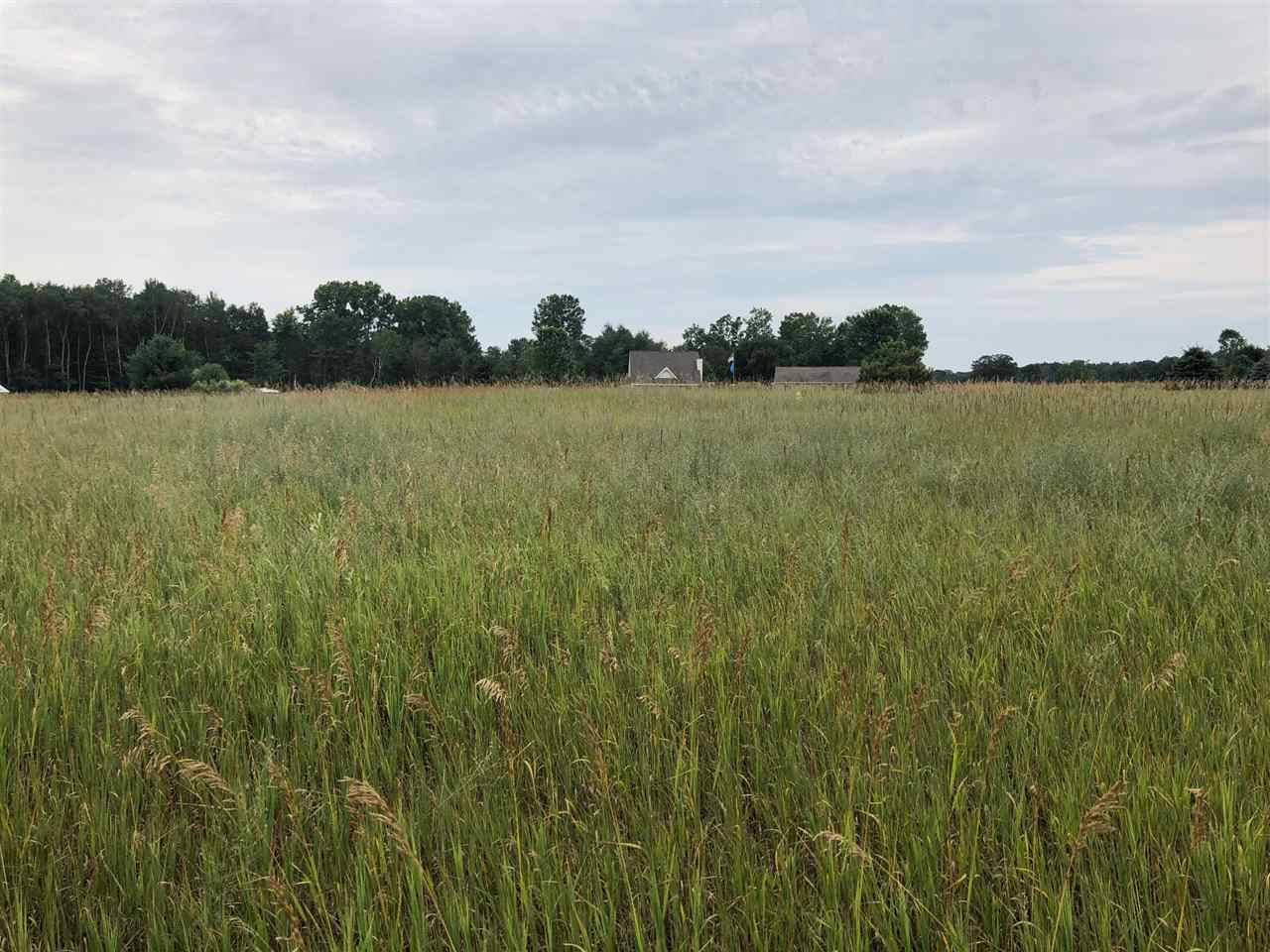 Lake Isabella, MI 48893,1003/1005 Pyrenees DR