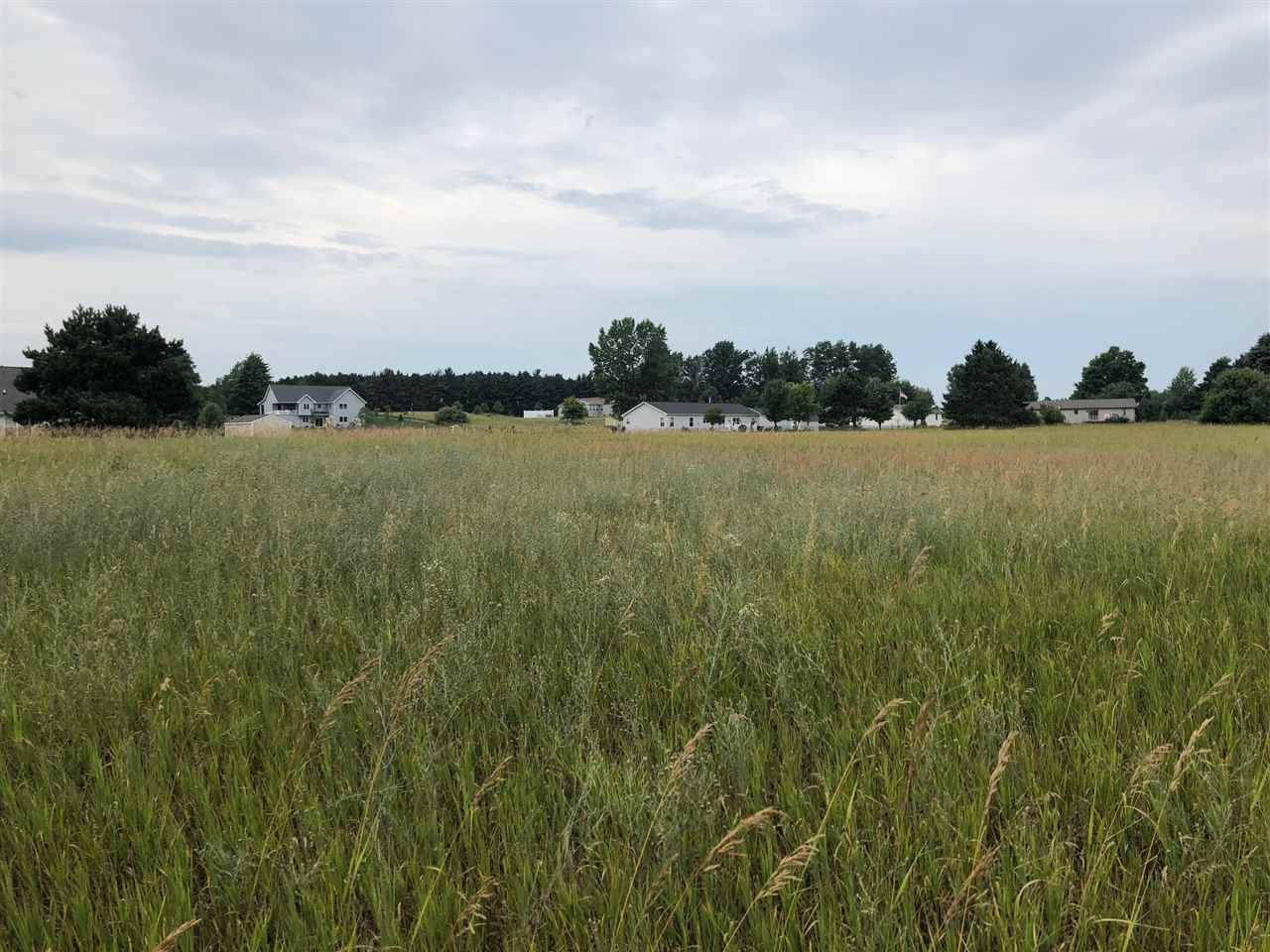 Lake Isabella, MI 48893,1003/1005 Pyrenees DR