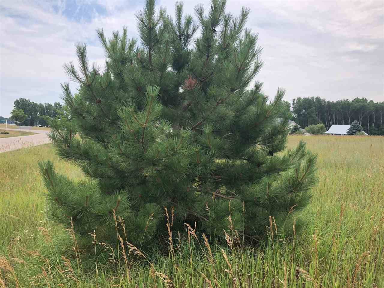 Lake Isabella, MI 48893,1003/1005 Pyrenees DR