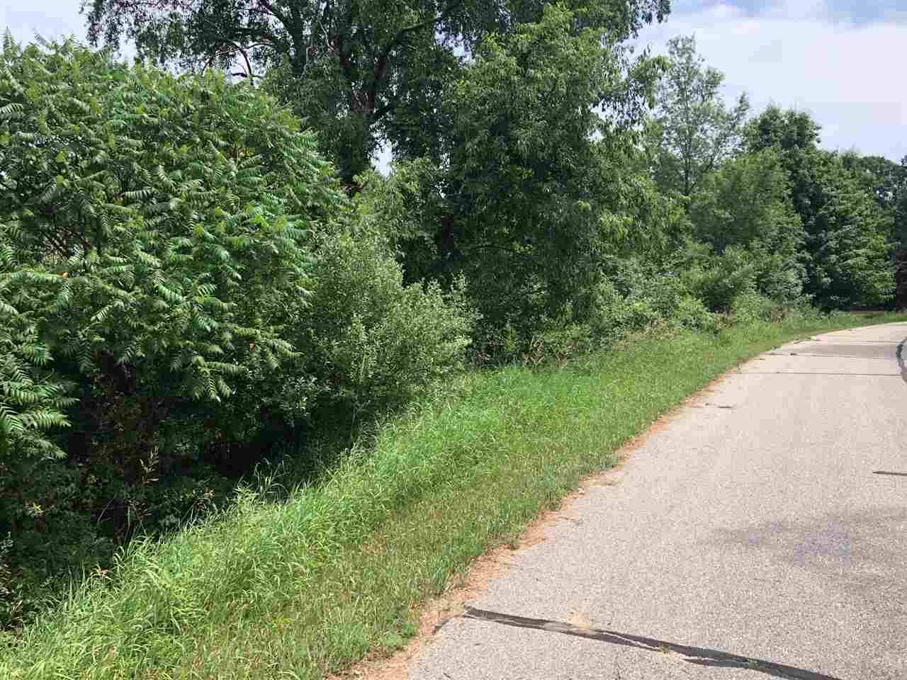 Lake Isabella, MI 48893,1006/1008 Laredo DR