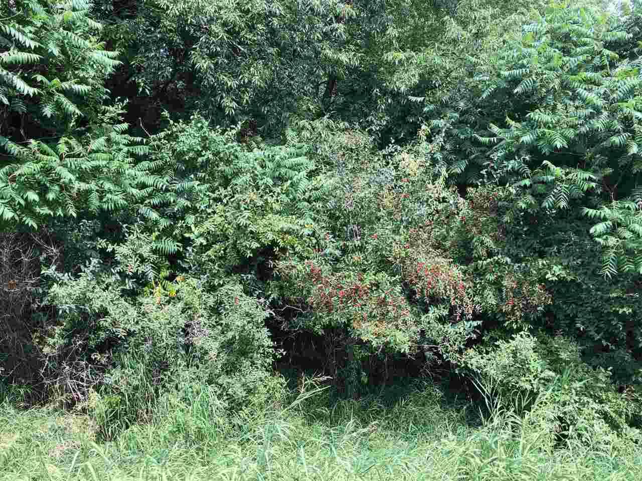 Lake Isabella, MI 48893,1006/1008 Laredo DR