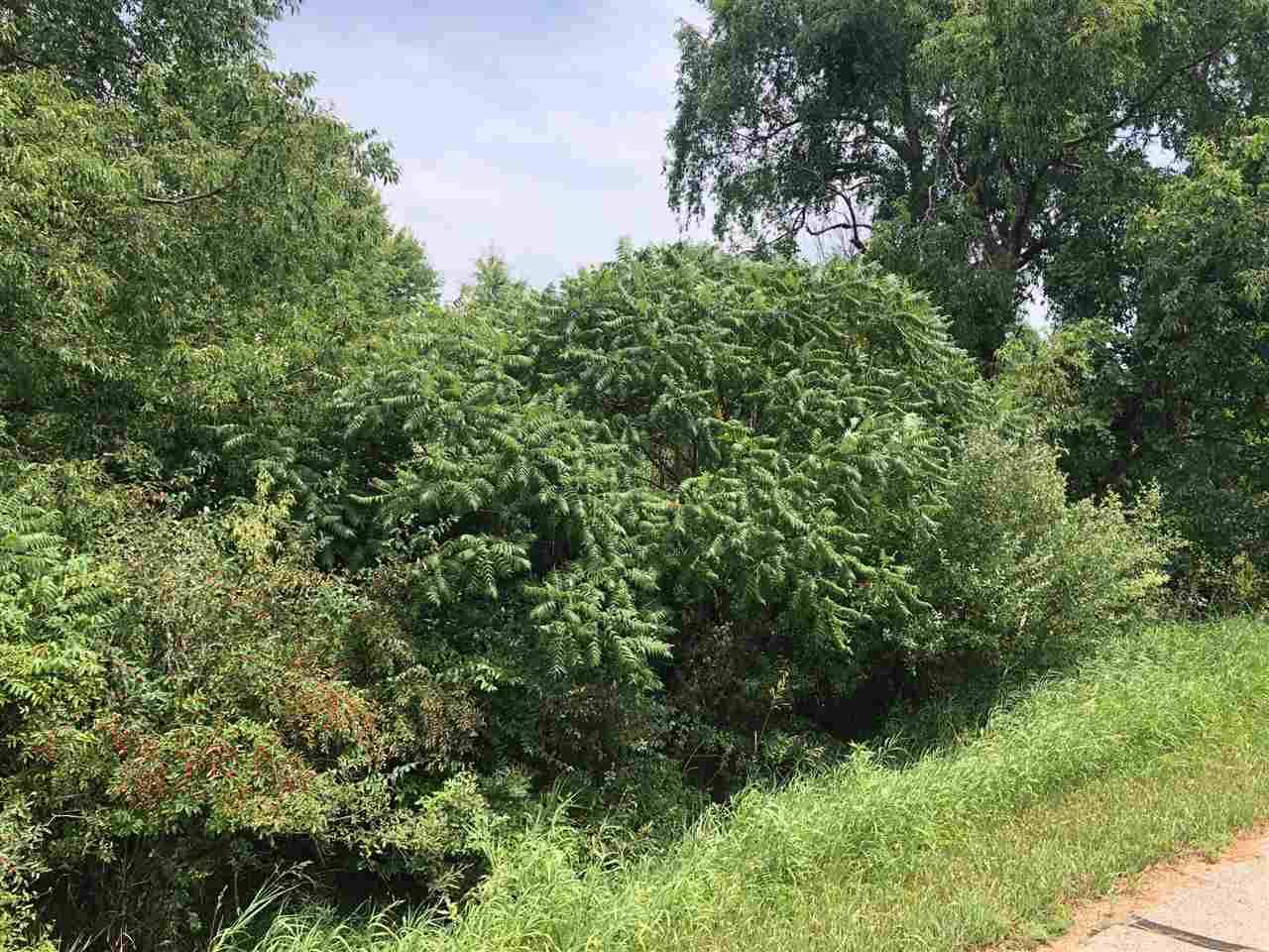 Lake Isabella, MI 48893,1006/1008 Laredo DR