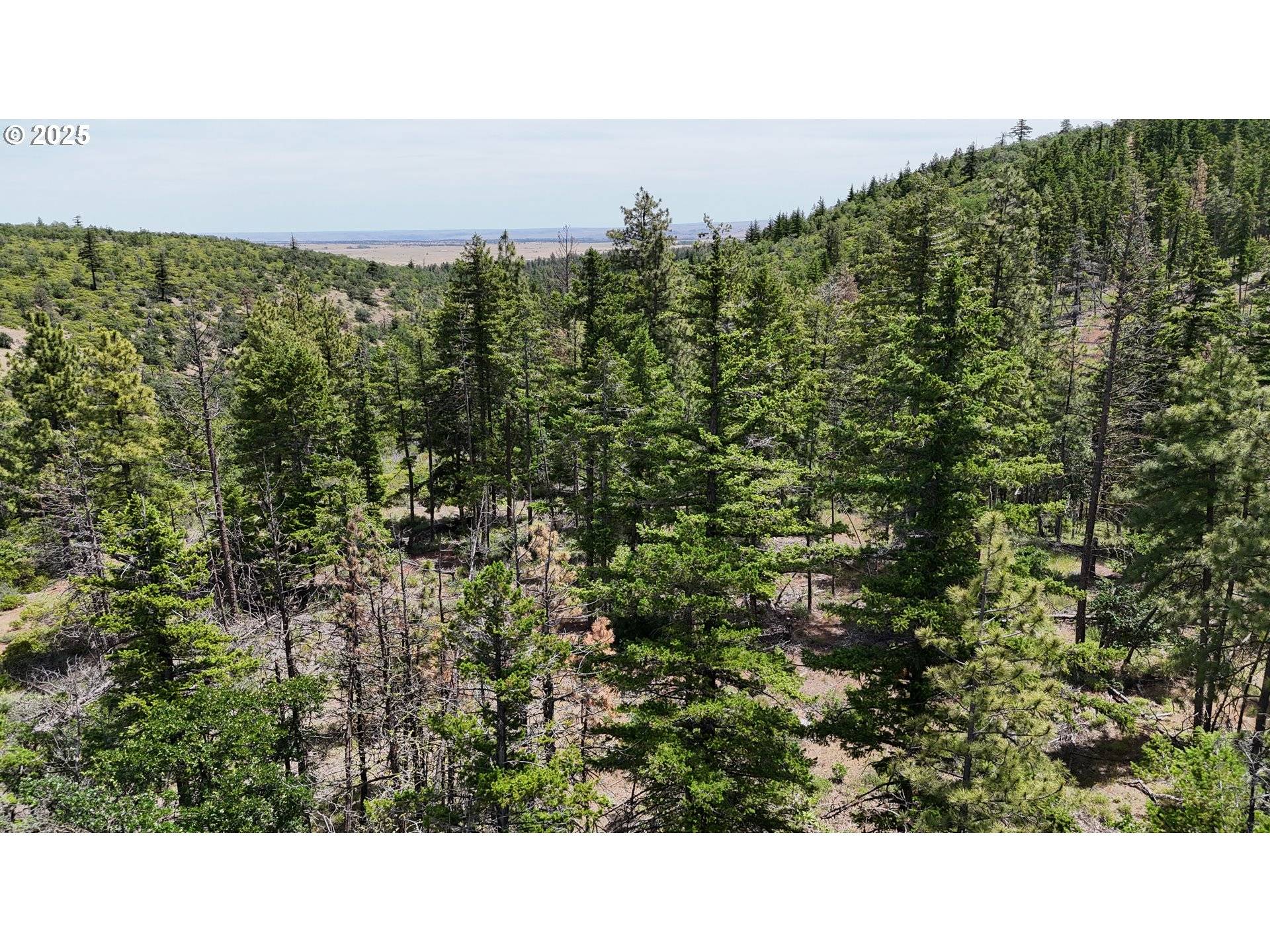 Pine Grove, OR 97037,0 Kelly Springs