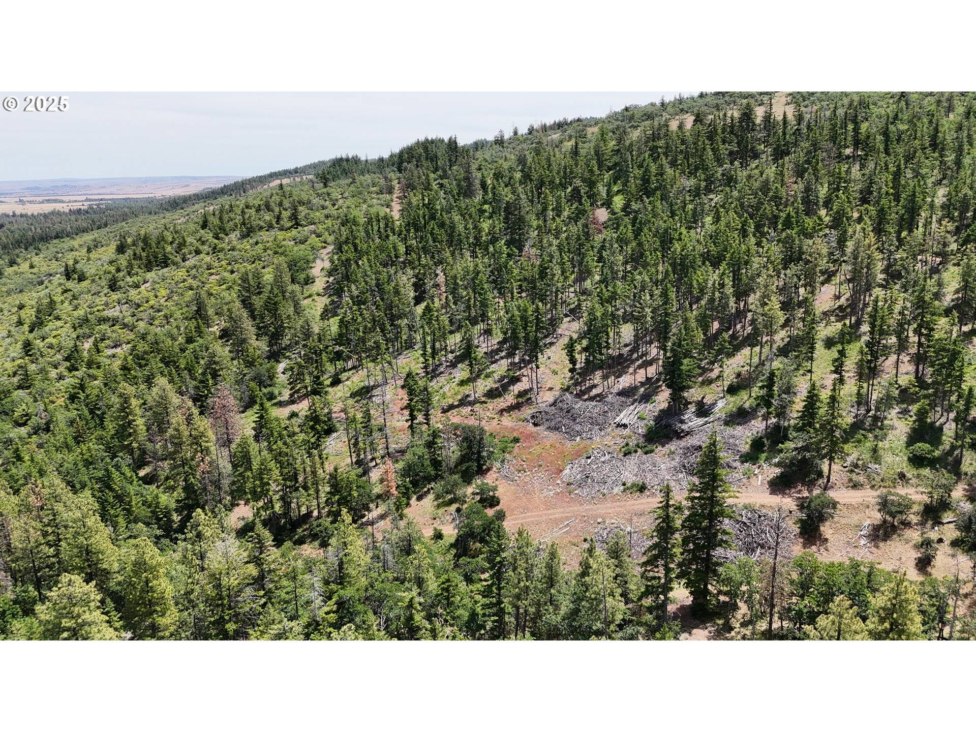 Pine Grove, OR 97037,0 Kelly Springs