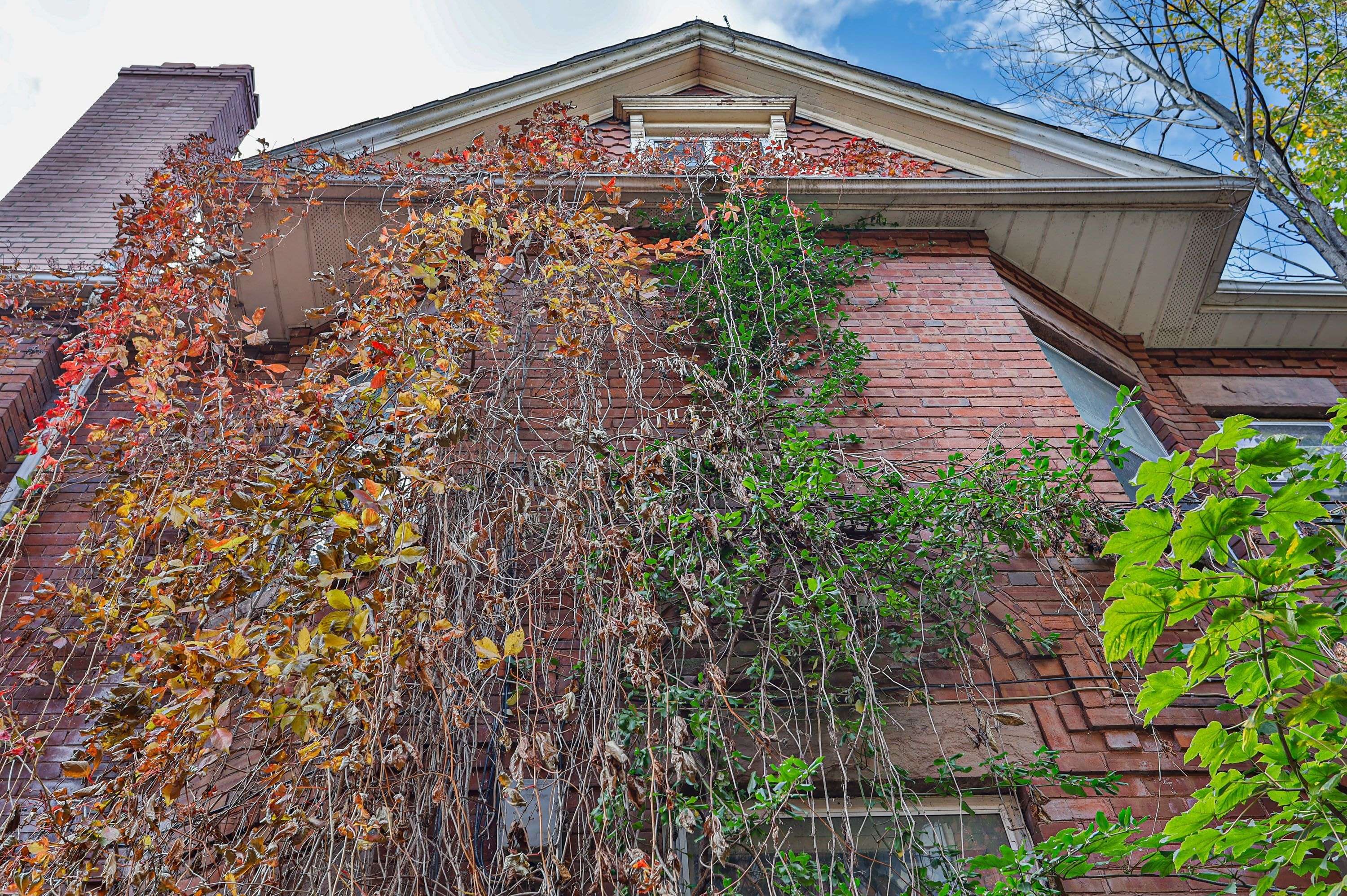 Toronto W01, ON M6K 1J9,32 Leopold ST