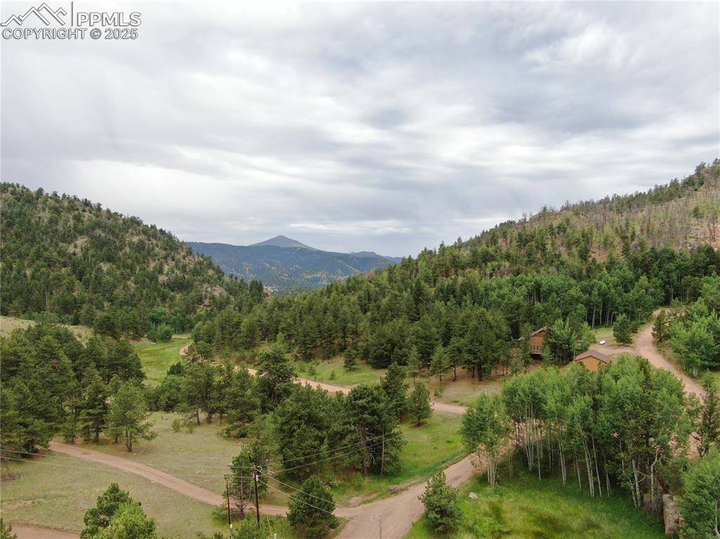 76 Crocus CIR, Florissant, CO 80816