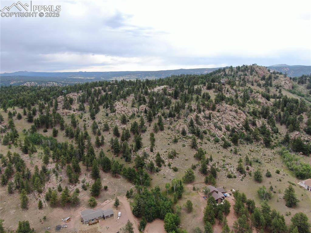 76 Crocus CIR, Florissant, CO 80816