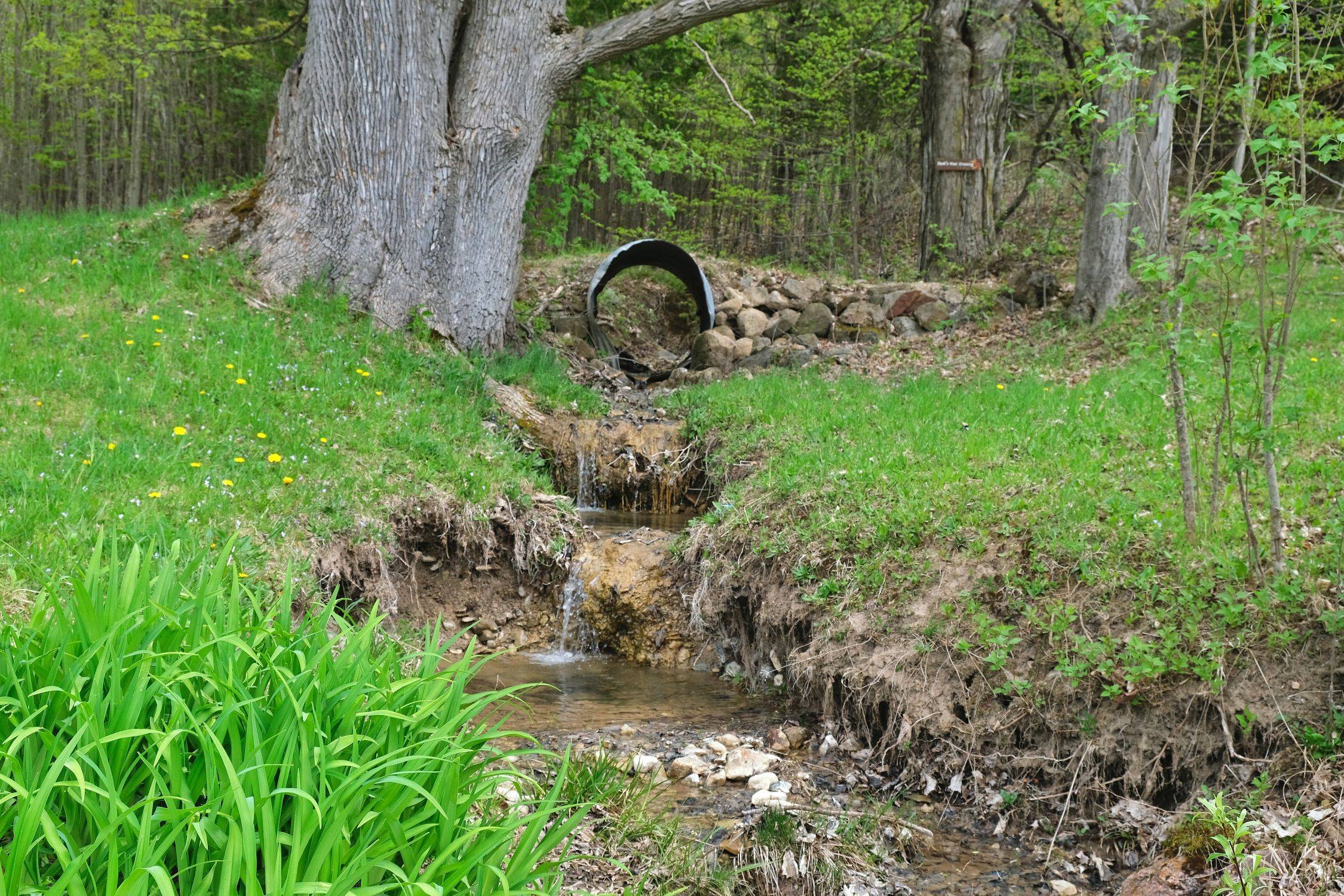 Grey Highlands, ON N0C 1G0,546299 Sideroad 4B Side Road