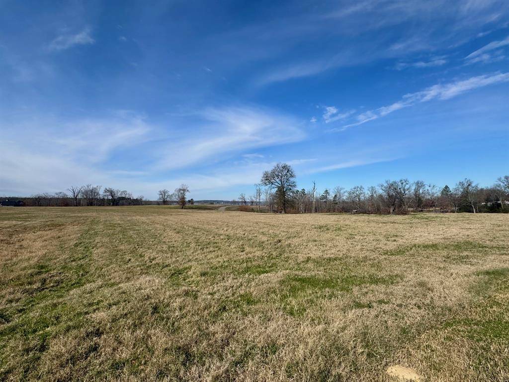 Pittsburg, TX 75686,Lot 52 Southshore Drive