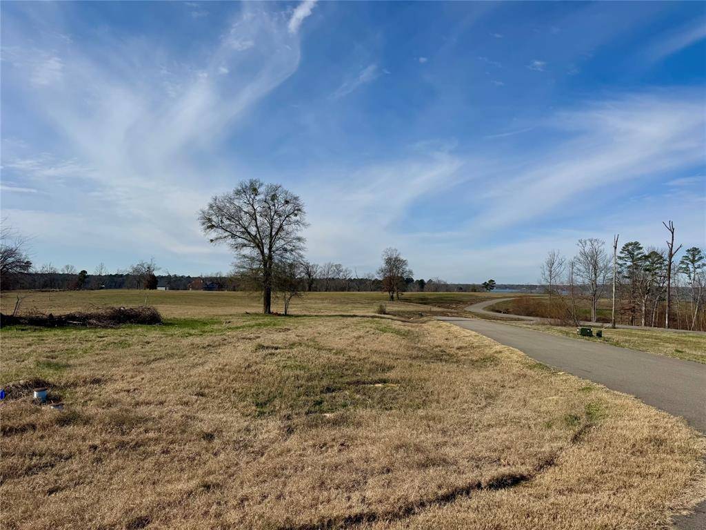 Pittsburg, TX 75686,Lot 52 Southshore Drive