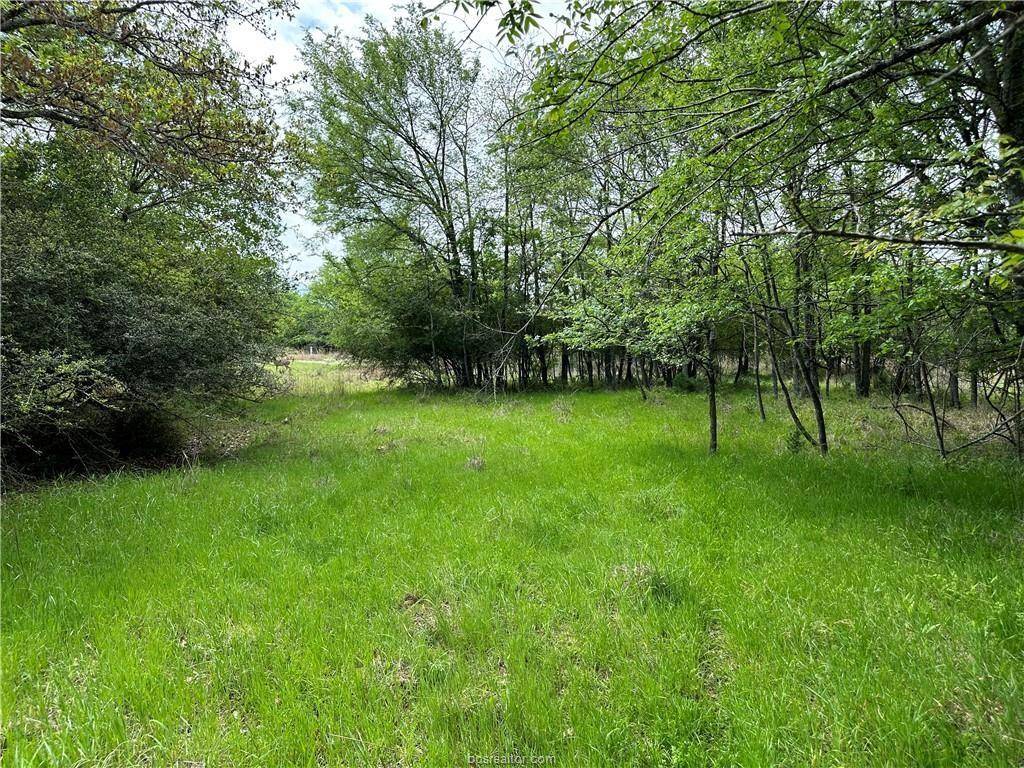 Thornton, TX 76687,00 Hickory Loop Road